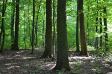 Artykuł szkoleniowy 2.