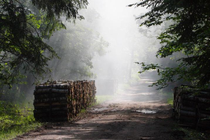 fot. Paweł Fabijański