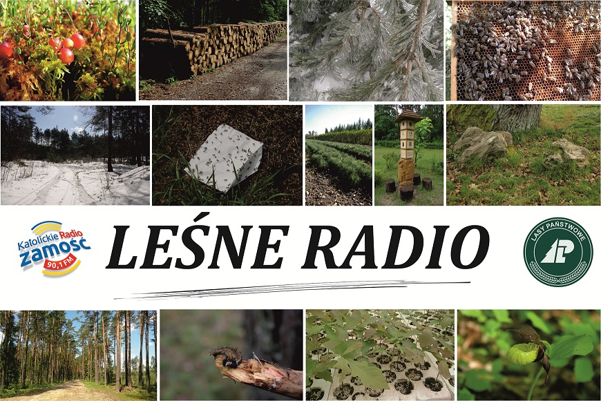 Audycja "Leśne Radio"