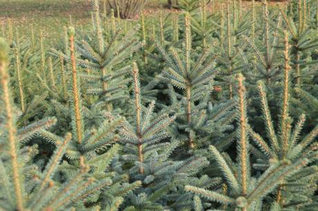 Wyjeżdżamy do domu