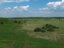 Murawy kserotermiczne (fot. Jarosław Kaczyński)