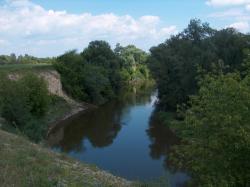 Koryto rzeki Bug (fot. Jarosław Kaczyński)