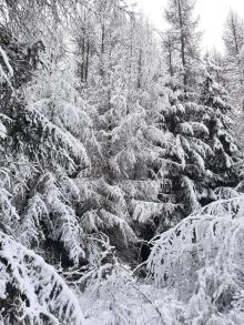 Zimowe przygody naszej przyrody